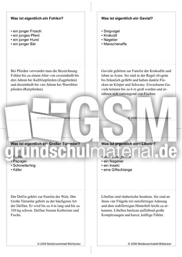 Quiz-Karten-Tiernamen 5.pdf